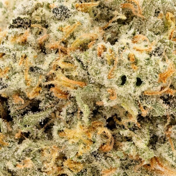 Maui Wowie - Image 2